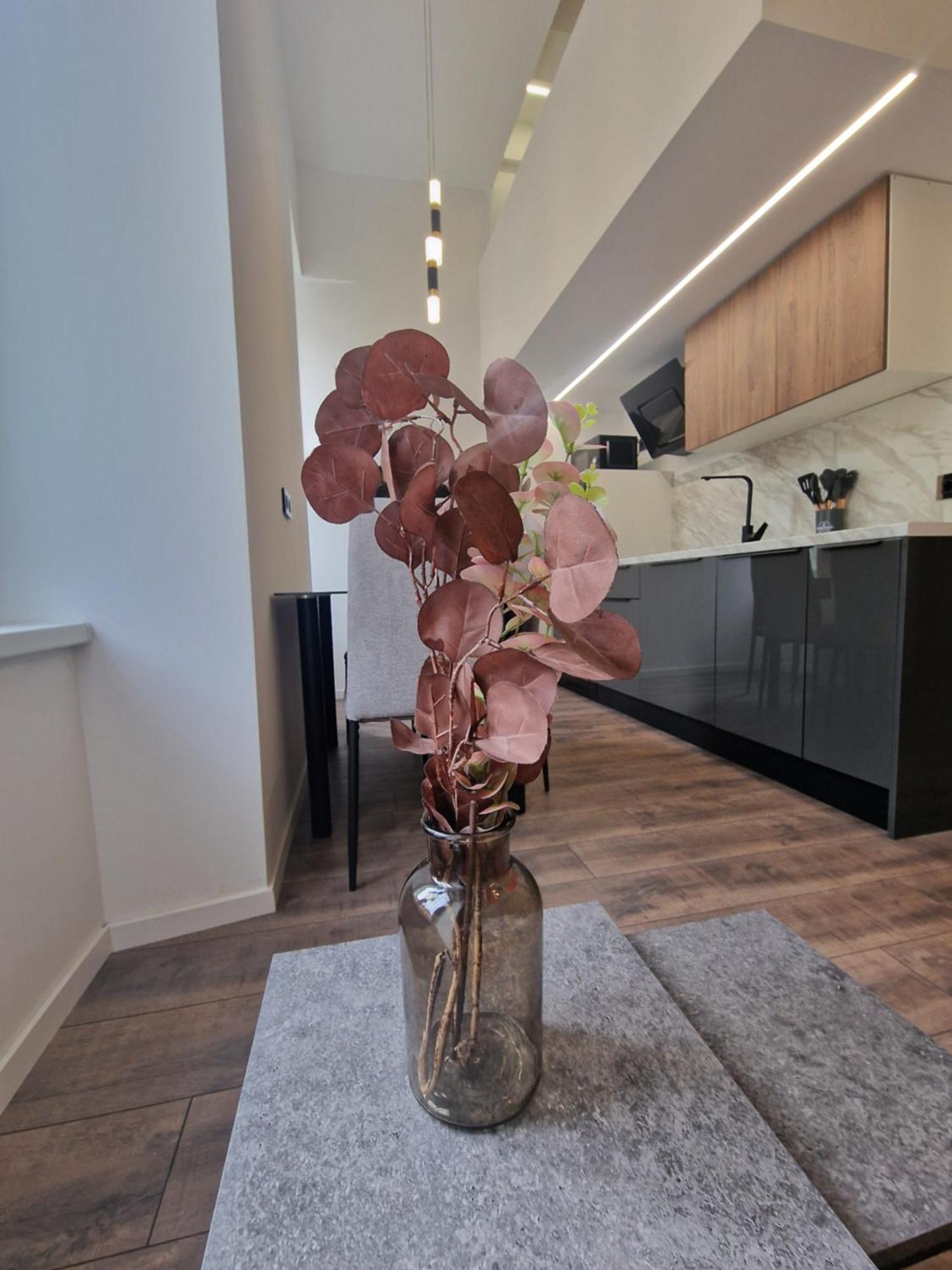 Veneziana Apartments Rijeka Zewnętrze zdjęcie